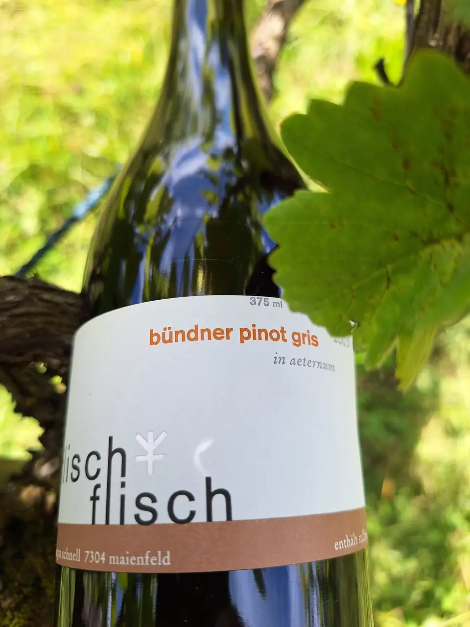 Eiswein – Originalflasche