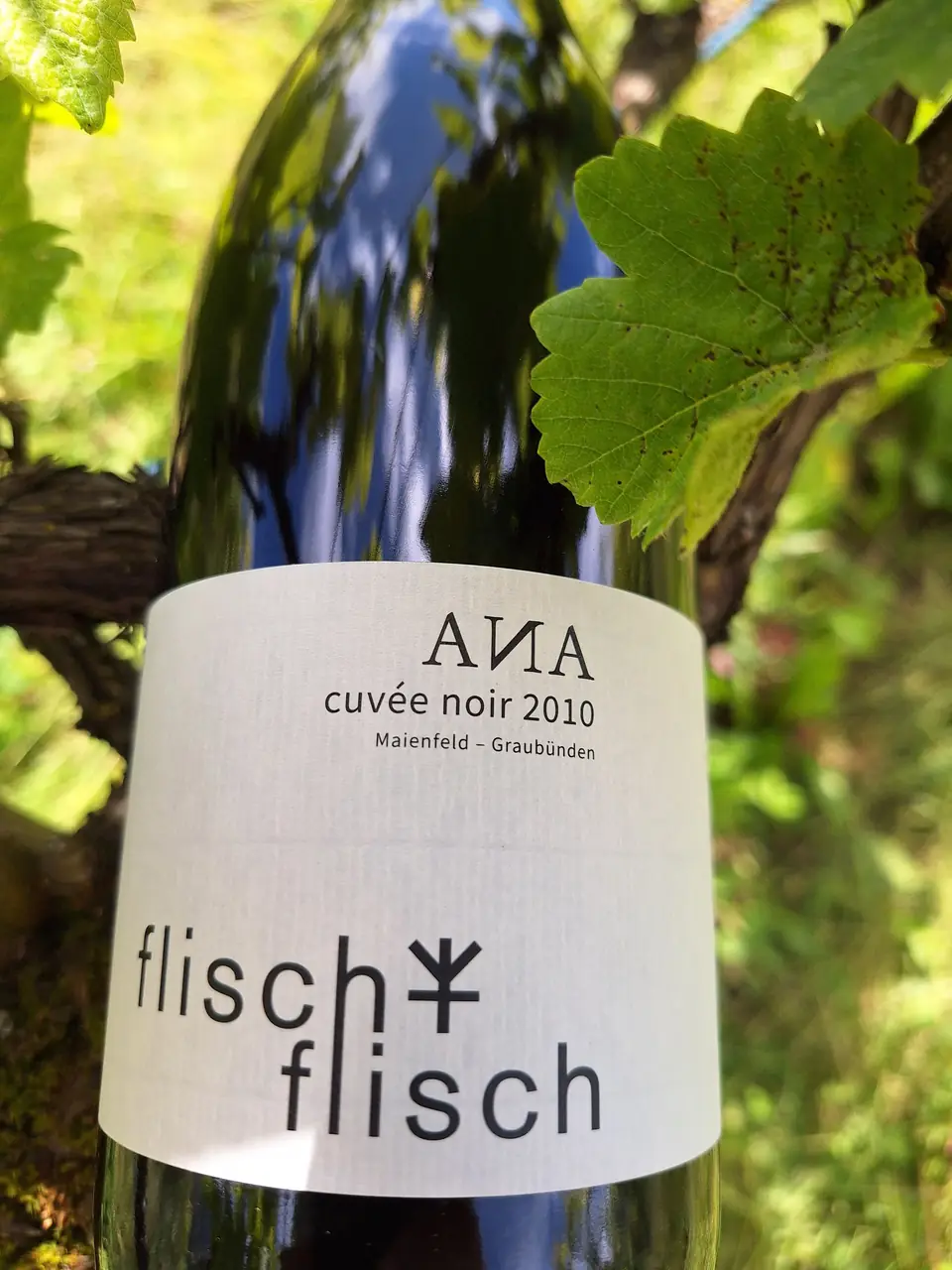 ANA Cuvée Noir 2009 – Originalflasche