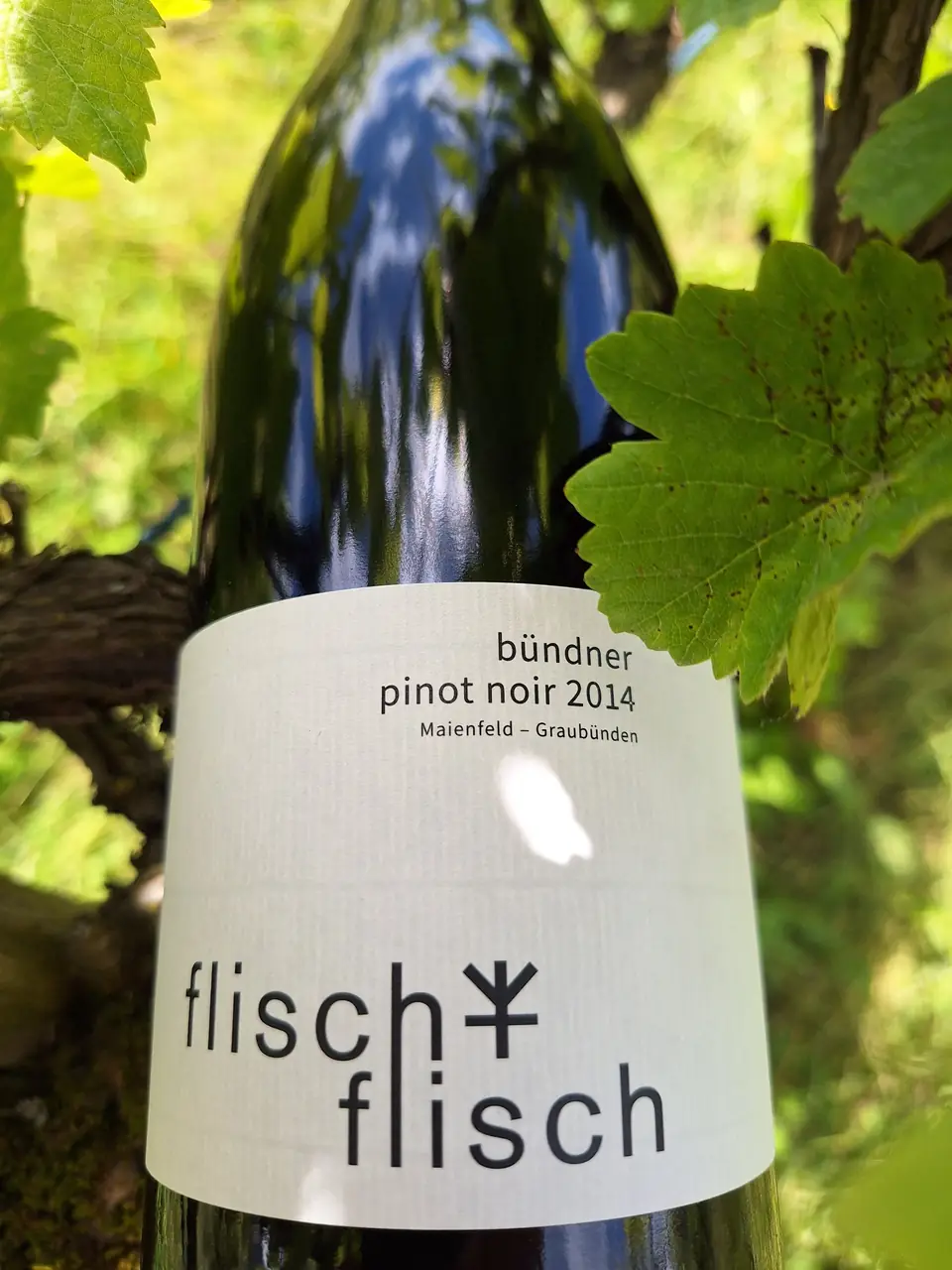 Pinot Noir 2014 – Originalflasche