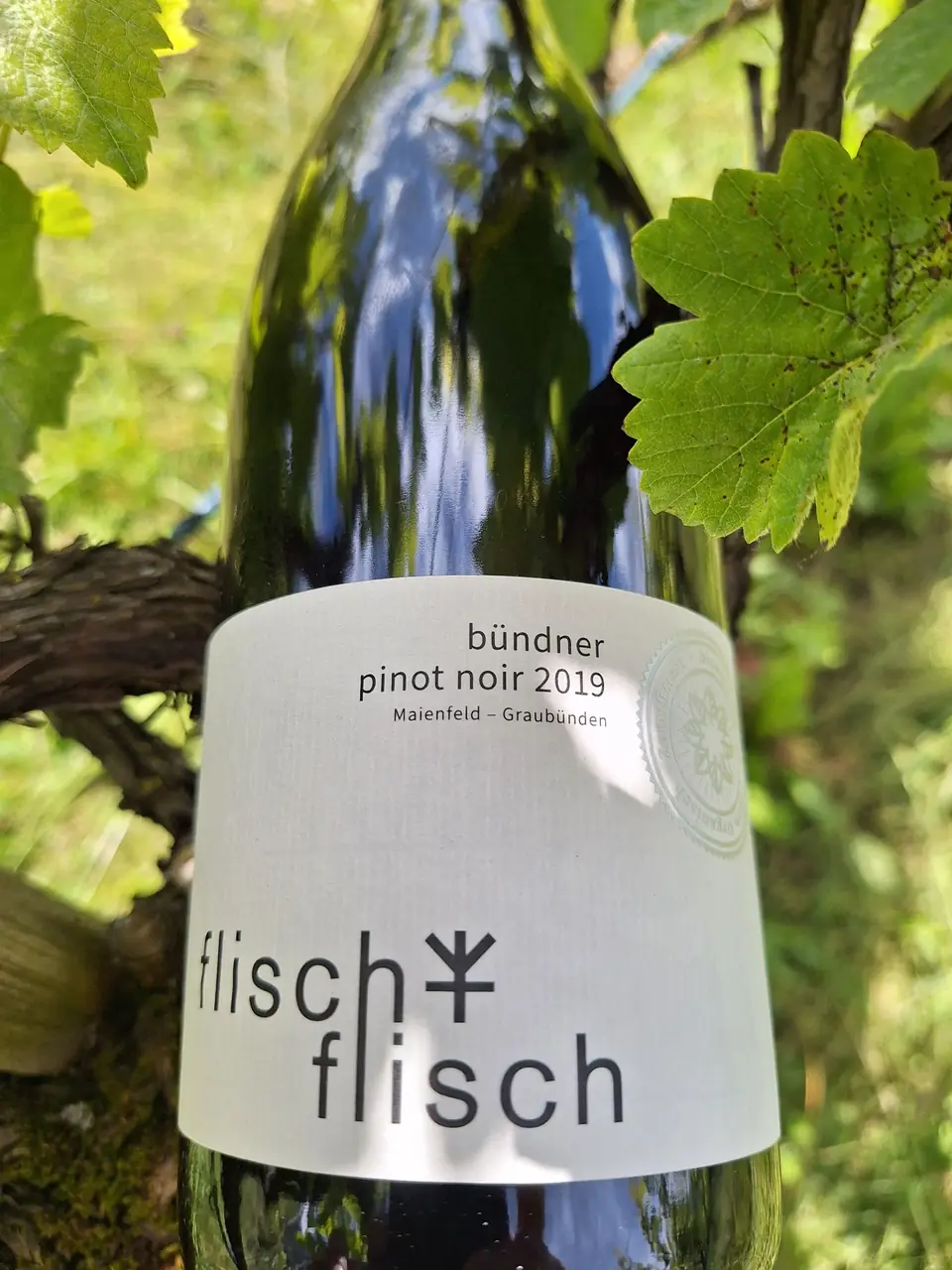 Pinot Noir 2019 – Originalflasche