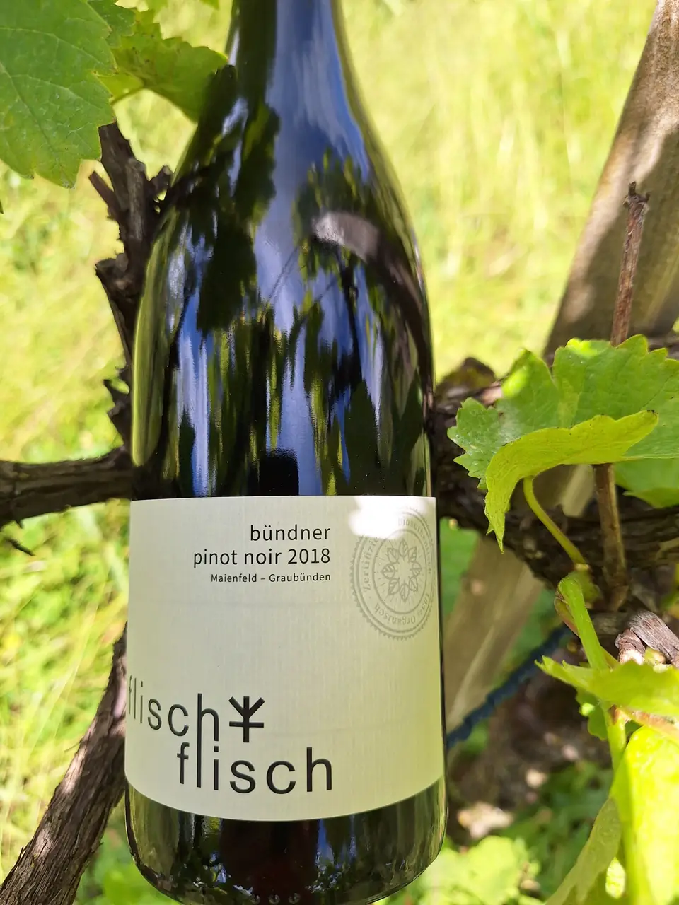 Pinot Noir 2018 – Originalflasche
