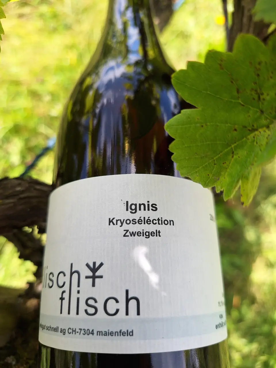 Ignis 2014 – Originalflasche